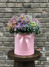 Цветочная композиция из Гипсофила и Розы в шляпной коробке в Пригорске