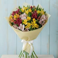 Букет цветов из:  Альстромерии в Пригорске