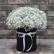 Цветочная композиция из Гипсофила в шляпной коробке в Пригорске