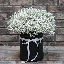 Цветочная композиция из Гипсофила в шляпной коробке в Пригорске