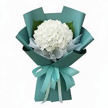 Букет цветов из:  Гортензия #REPLACE_PRED# Пригорске